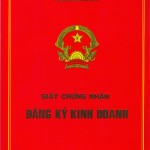 Chuyển từ Hộ kinh doanh cá thể sang công ty TNHH hai thành viên.