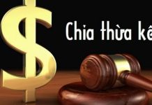 Chia thừa kế đất đất chưa có quyết định thu hồi có được không?