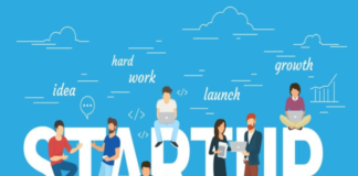 Cách chọn loại hình doanh nghiệp phù hợp ,TNHH, Cổ phần, Hộ kinh doanh