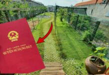 Thủ tục chuyển từ đất vườn sang đất ở