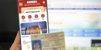 Thông tin giấy phép lái xe đã được xác thực trên VNeID có thể thay thế Giấy phép lái xe bằng vật liệu PET không?