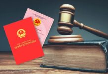 Bạn cần có giấy tờ gì để chứng minh quyền sở hữu đất?