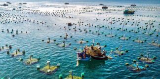 10 trường hợp được miễn tiền thuê đất, thuê mặt nước