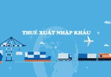Ai chịu thuế nhập khẩu và ai là người nộp thuế nhập khẩu?