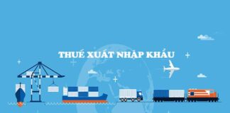 Ai chịu thuế nhập khẩu và ai là người nộp thuế nhập khẩu?