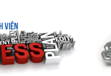 Tư vấn thủ tục thành lập Công ty TNHH một thành viên