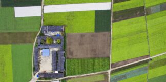 Tranh chấp hợp đồng chuyển nhượng quyền sử dụng đất: Giải quyết như thế nào?