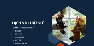 Xem đá gà, tổ chức đá gà, tham gia đá gà sẽ bị xử lý thế nào?