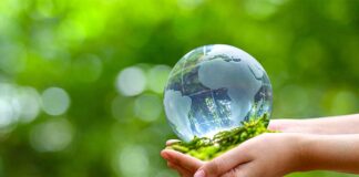 Thủ tục và hồ sơ xin cấp giấy phép môi trường